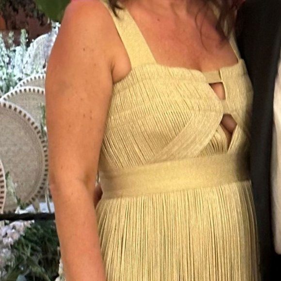 Herve Leger Beige Fringe Dress - Picture 2 of 4